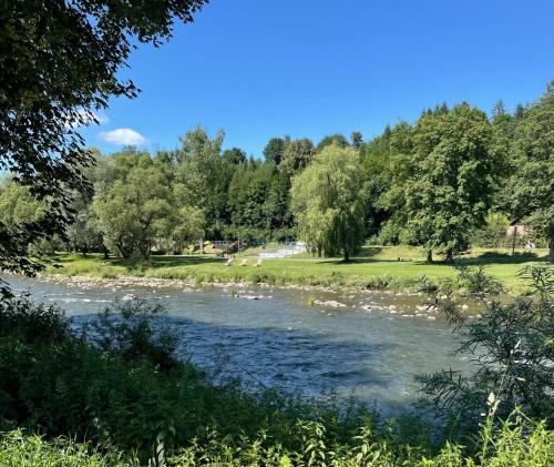 a river in a park with trees and grass at JW Apartments in Krościenko