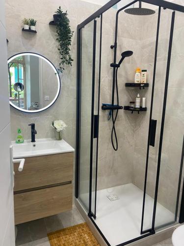 une salle de bain avec douche et lavabo dans l'établissement Appartement cosy avec oasis privée, salle de jeux, vélos bienvenus, à Carcassonne