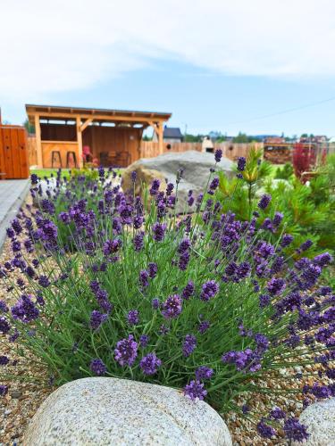 a bouquet of purple flowers in a garden at Domki Szczyt Beztroski - Balia & Sauna in Nowy Targ