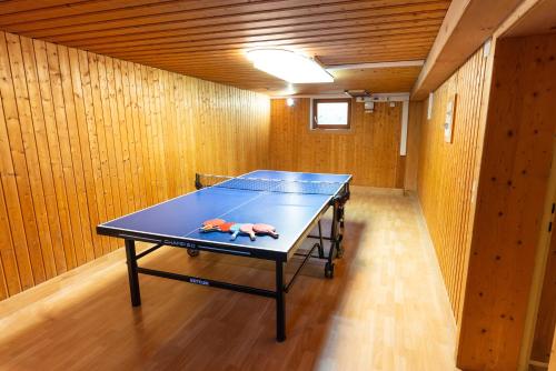 a ping pong table in a room with a ping pongetitive at Apartmenthaus Pernull in Tröpolach