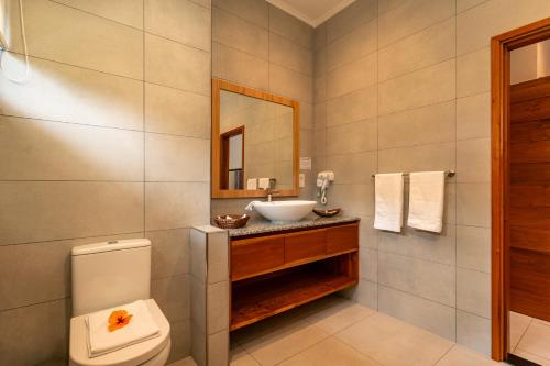 a bathroom with a sink and a toilet and a mirror at Aran Apartments in Au Cap