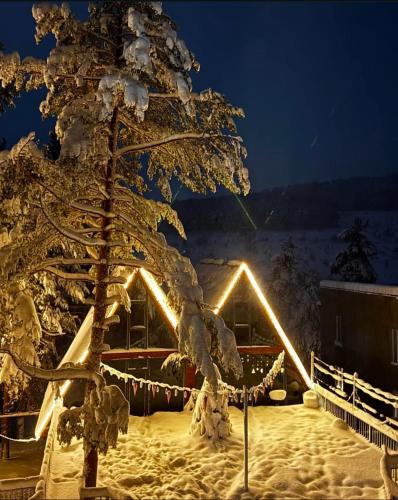 a tree covered in snow next to a house with lights at Hotel Twins Surami in Surami