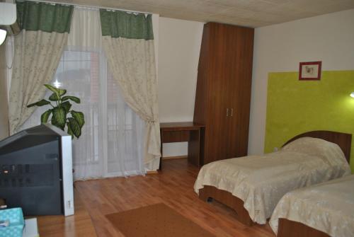 a bedroom with a bed and a tv and a window at Vila Veche in Haţeg