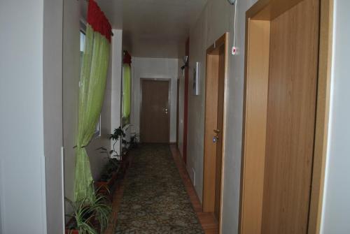 an empty hallway with plants and a hallway with a hallway at Vila Veche in Haţeg