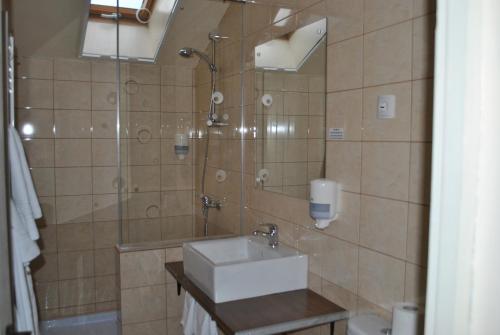 Vonios kambarys apgyvendinimo įstaigoje Vila Veche