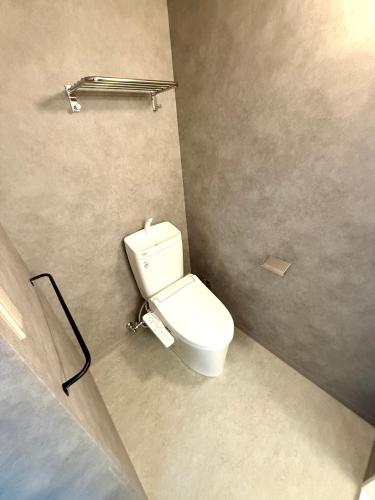 a bathroom with a white toilet in a stall at MAGURO BLDG by WhyKumano in Nachikatsuura