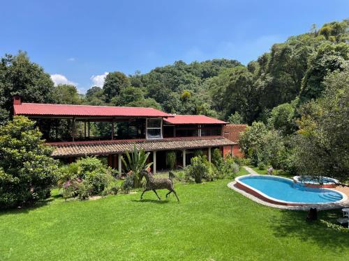 a giraffe walking in front of a house with a pool at Hotel Boutique Finca La Niebla in Coatepec