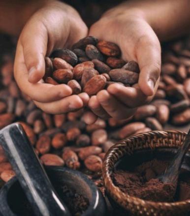 a person holding a handful of coffee beans at Casa Amazonas in Puerto Maldonado