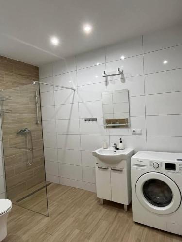 a bathroom with a washing machine and a sink at Apartament Przy wąwozie in Bałtów
