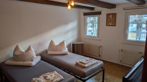 a room with two beds with pillows on them at Ferienwohnung Lehmann 1 EG & OG 220m2 in Wolfenbüttel