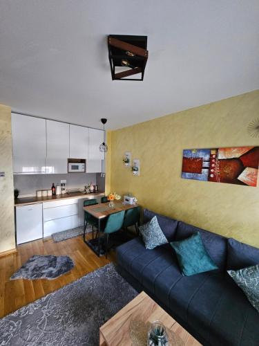 Χώρος καθιστικού στο Apartman Rajska dolina Titova vila