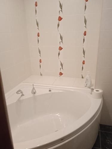 Beautiful flat in centre of Chișinău city