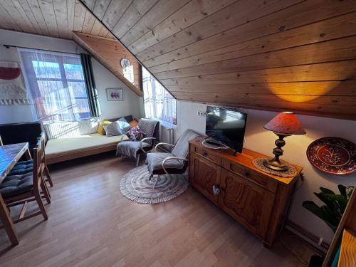 salon z kanapą i telewizorem w obiekcie Apartmány Srub Jenišov w mieście Horní Planá