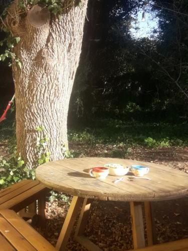 a picnic table under a tree with bowls on it at Sierra Bonita - Viví en Armonía in Sierra de los Padres
