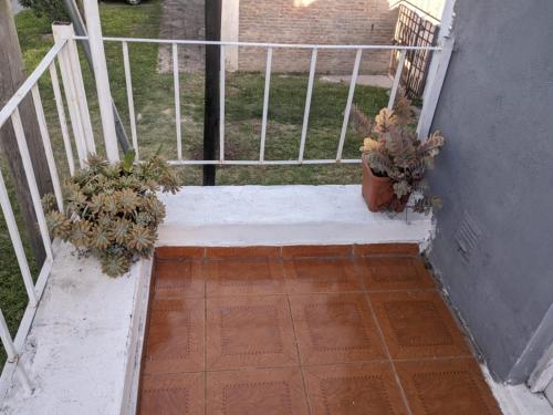 two potted plants sitting on a stair case at Apartamento Paracao in Paraná