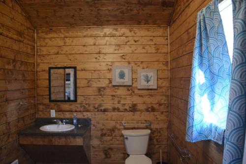 Koupelna v ubytování Gros Morne Tiny Chalets