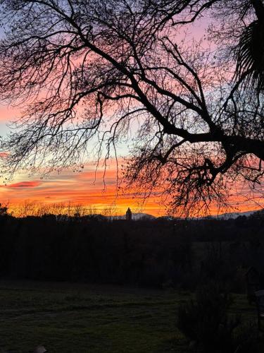 a sunset in a field with a tree at Mas El Casot 1 in Vilademuls