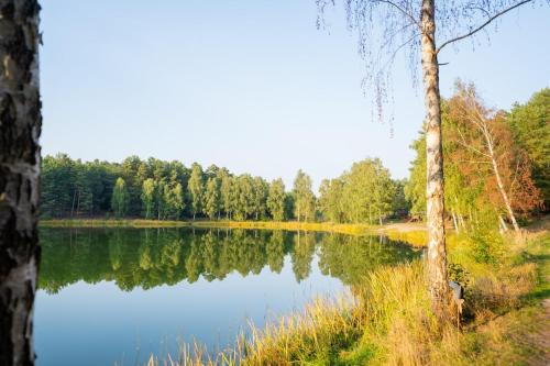 Příroda nedaleko apartmánu