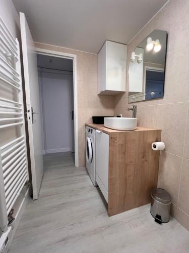 une salle de bain avec un lavabo et une machine à laver dans l'établissement Appartement T2 cosy proche de Paris, RER à 550m, à Yerres