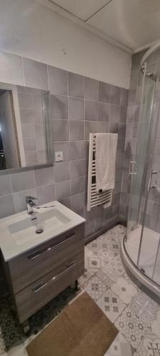 une salle de bain avec un lavabo et une douche dans l'établissement Appartement centre ville Hôtel Particulier, à Carpentras