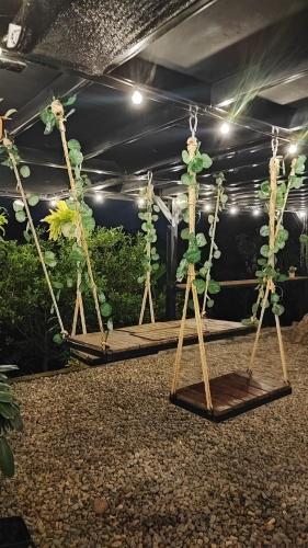Jardín al aire libre en Glamping Entre Rocas Tena