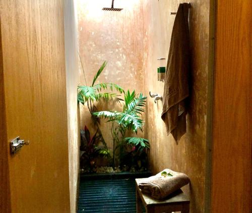 a bathroom with a shower with a potted plant at Taanah Glamping in Zapotlanejo