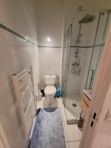 une petite salle de bain avec toilettes et douche dans l'établissement 2 bedroom end of terrace house, au Beausset