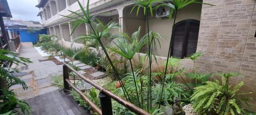 a group of plants in front of a building at Pousada Boramar in Boracéia