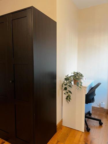 a black cabinet next to a desk with a plant at Laxey place maisonette East Belfast -private parking, transport links in Belfast