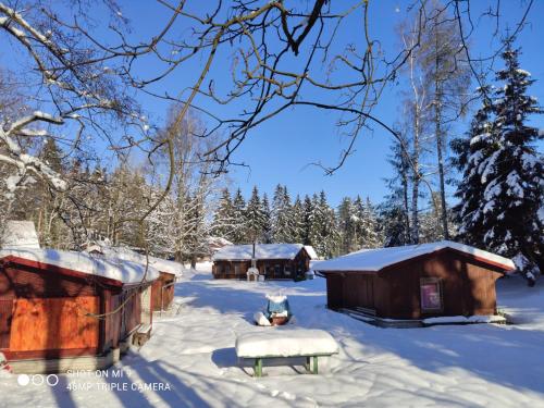 a group of huts in the snow with trees at Lesní chaty "Hogo Fogo" in Kytlice