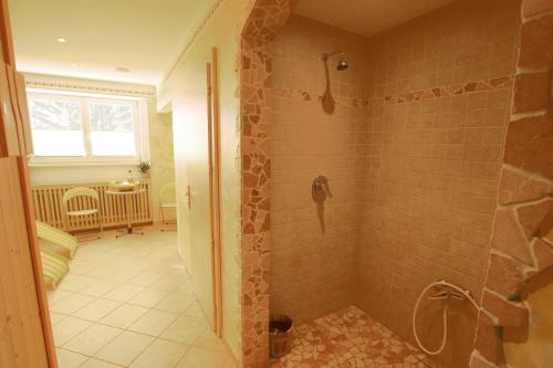 uma casa de banho com uma cabina de duche ao nível do chão ao lado de uma janela em Tannenhof em Ehrwald