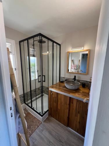 a bathroom with a shower with a sink and a mirror at Studio de charme au Gosier in Le Gosier