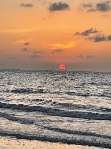 a sunset on the beach with the sun in the horizon at Eco Hotel Laguna Beach - Bloque 8 Suite 101 in San Silvestre