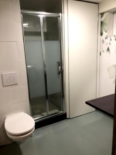 une salle de bain avec douche et toilettes dans l'établissement Petit loft entre Strasbourg et campagne, à Reichstett