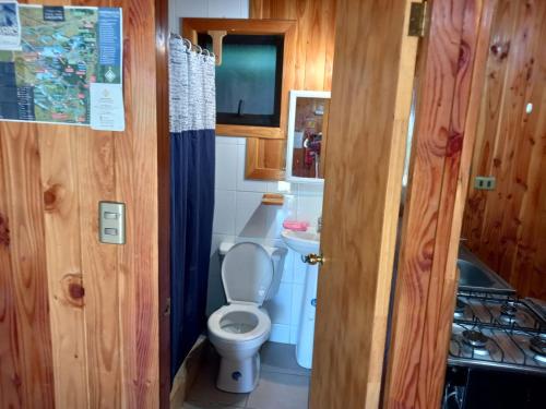 a small bathroom with a toilet and a sink at Lican Ray Cabañas Los Primos in Licán Ray