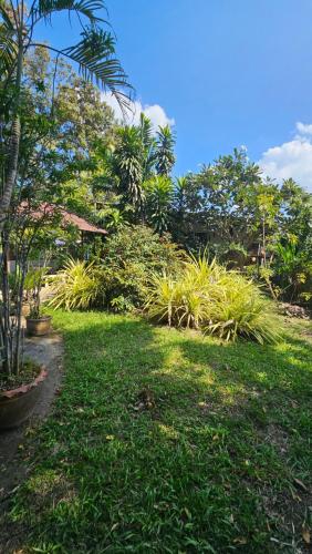a garden with lush green grass and trees at Baan Suan Resort Doisaket 1 in Ban Tha
