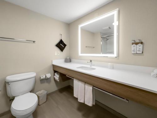 a bathroom with a sink and a toilet and a mirror at Holiday Inn Express Salt Lake City South - Midvale by IHG in Midvale