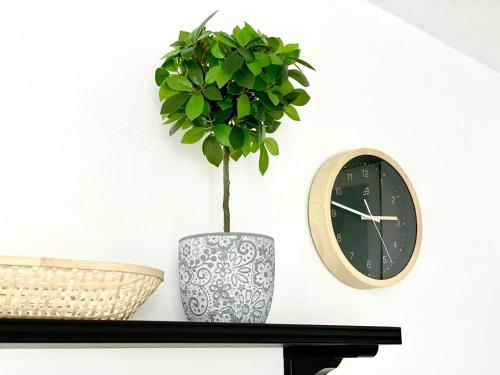 a vase with a plant on a shelf next to a clock at Villa in Doksy near Macha Lake in Doksy