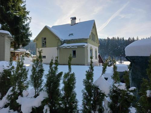 a house in the snow with trees at Villa in Jablonec with Sauna & Hot Tub in Albrechtice v Jizerských horách