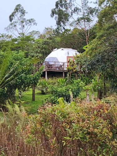 Gallery image of Juan's Place in Santa Maria