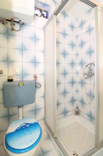 a bathroom with a blue toilet and a shower at Apartment Ruža 2021 in Premantura