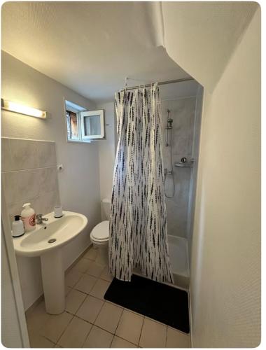 une salle de bain avec un rideau de douche et un lavabo dans l'établissement Studio76, à Rouen