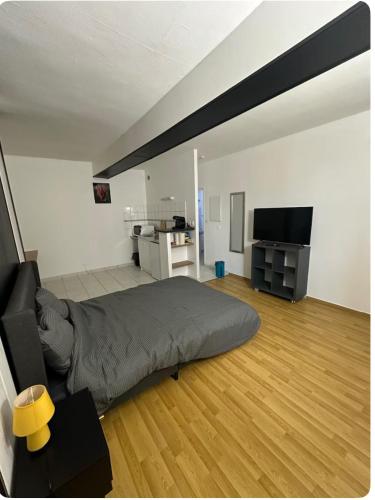une chambre avec un lit et une télévision à écran plat dans l'établissement Studio76, à Rouen