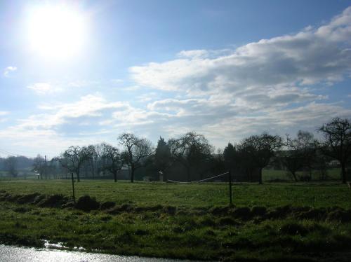 a field with a net in a field with trees at Ferme du Charme in Moustier