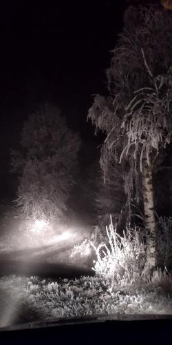 a nightime picture of a river with a tree at Lázeňská chata Hvězdička in Litoměřice