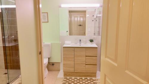 a bathroom with a sink and a toilet and a mirror at Curtis Falls Studio-Apartment in Mount Tamborine
