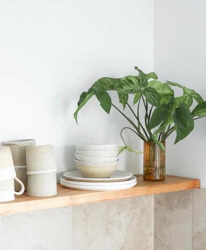 a plant in a vase on a wooden shelf at Dreamy Staiz - Riverland Abode in Barmera