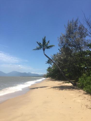 a palm tree on a sandy beach next to the ocean at Tropical family beach house in Holloways Beach