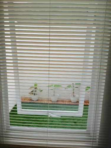 a window with three potted plants on a window sill at Albirru homestay syariah in Lawang
