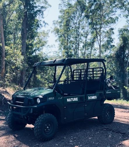 a dog sitting in the back of a green jeep at Nature Domes in Comboyne